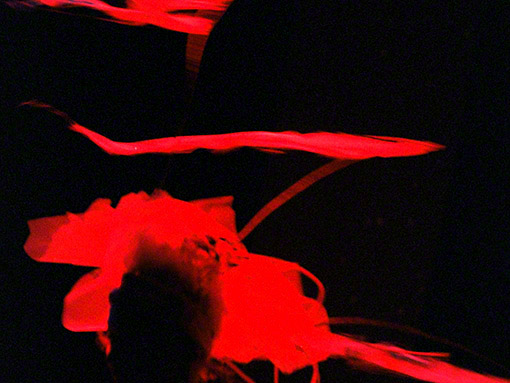 Collaborative Arts Performance Company