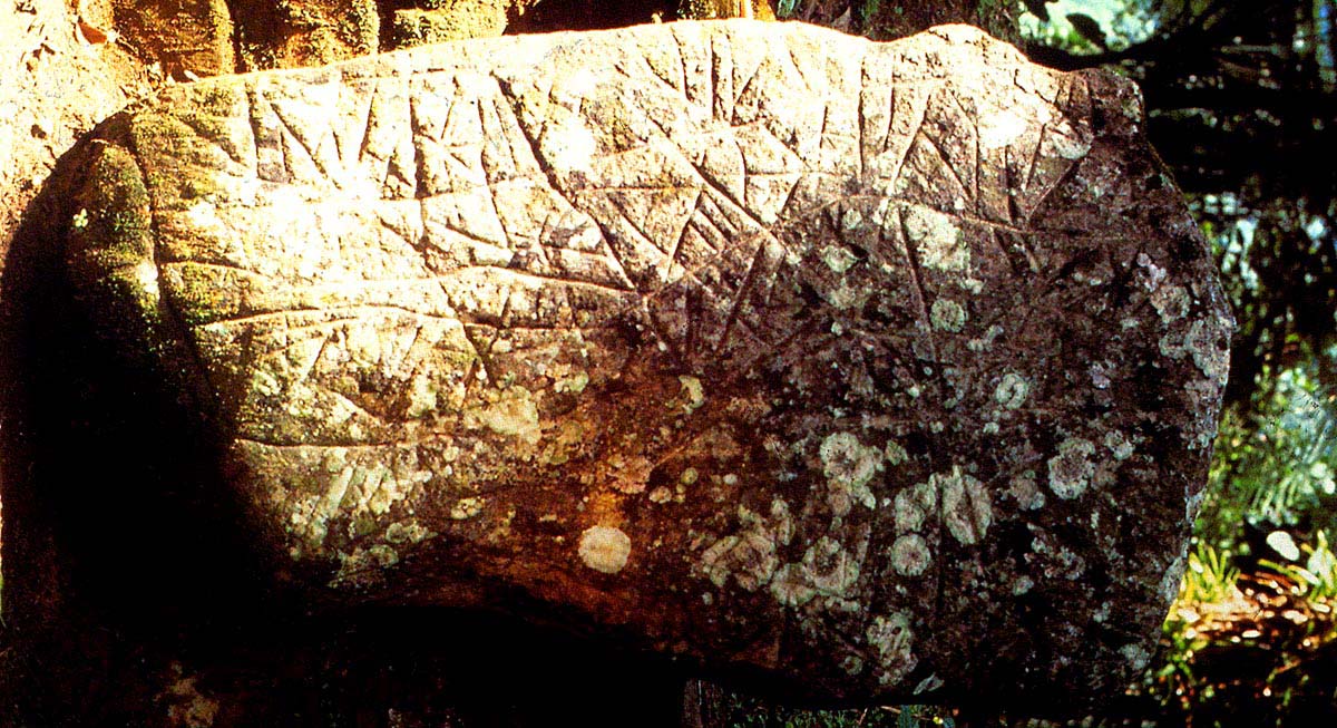 The Kogi - Tairona Heritage Trust